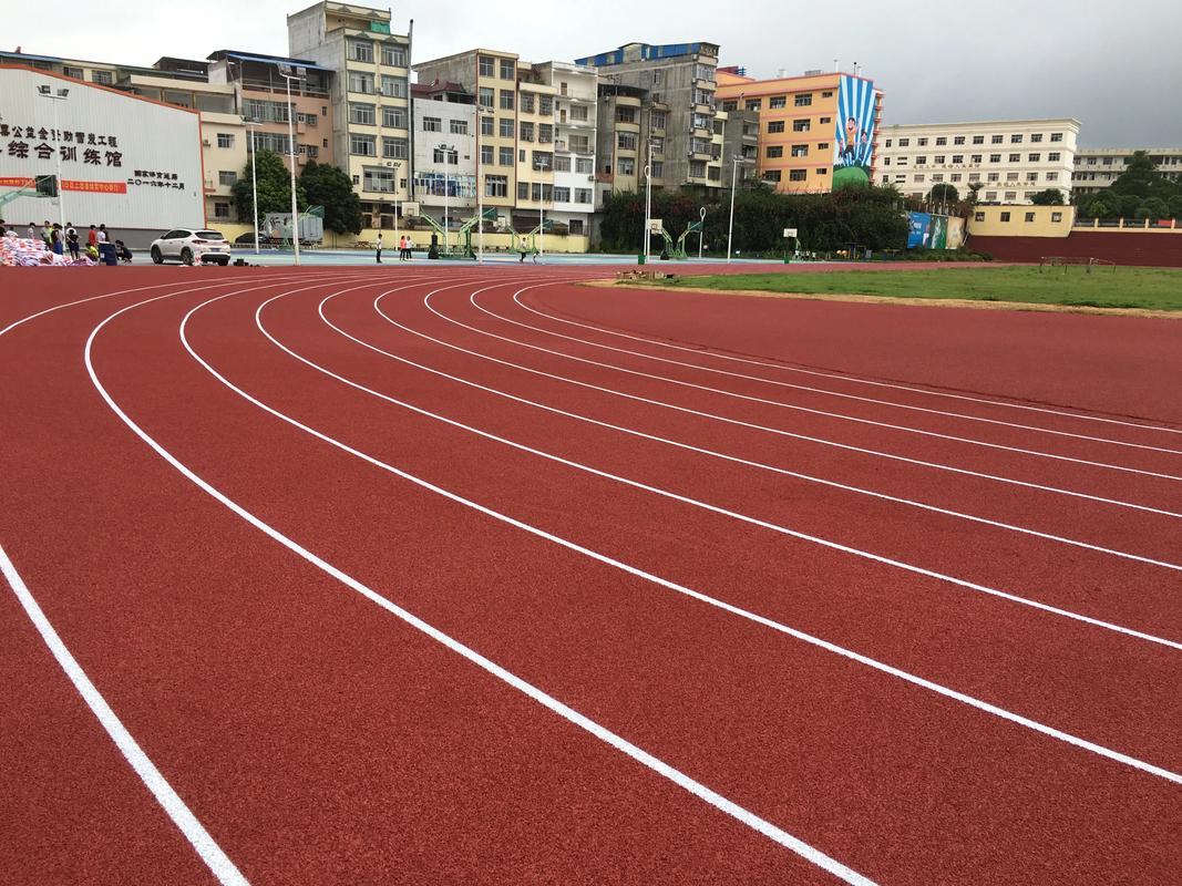 玉树藏族自治州EPDM颗粒塑胶跑道材料 - 价格